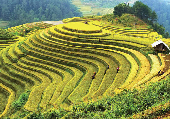 Hanoi + Halong Bay + Sapa + Fansipan + Rong May Glass Bridge + Tamdao